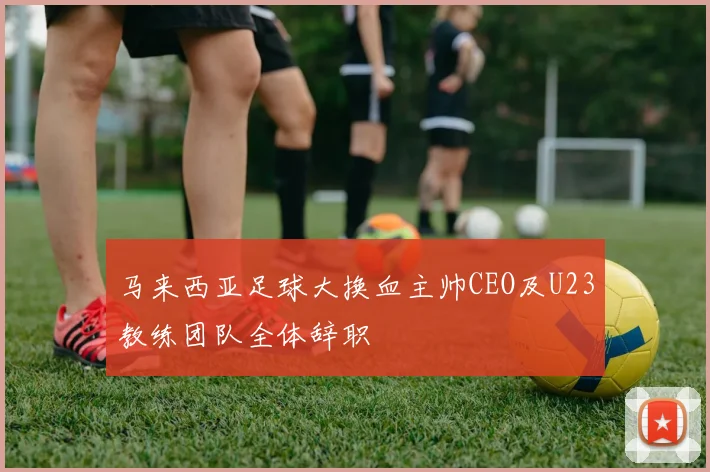 马来西亚足球大换血主帅CEO及U23教练团队全体辞职
